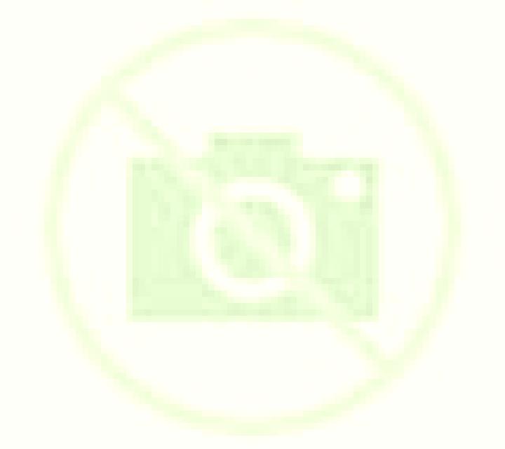 aviamasters legal status